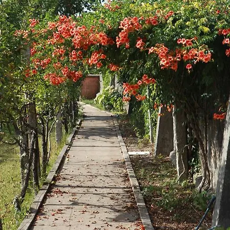 Hébergement de vacances Quinta De Santo Antonio *
